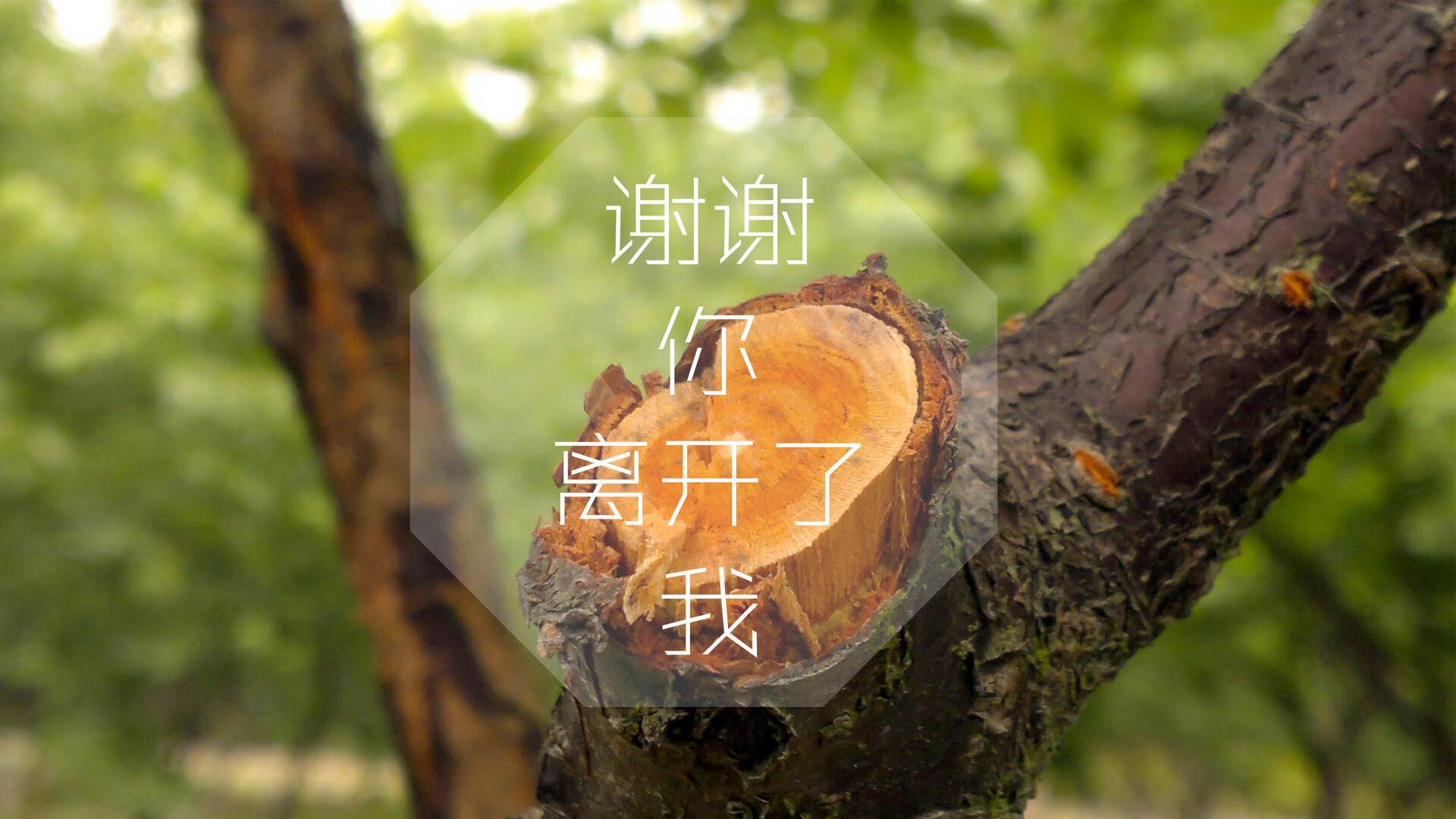 什么复合材料具有耦合效应（复合材料的复合效应有哪些）