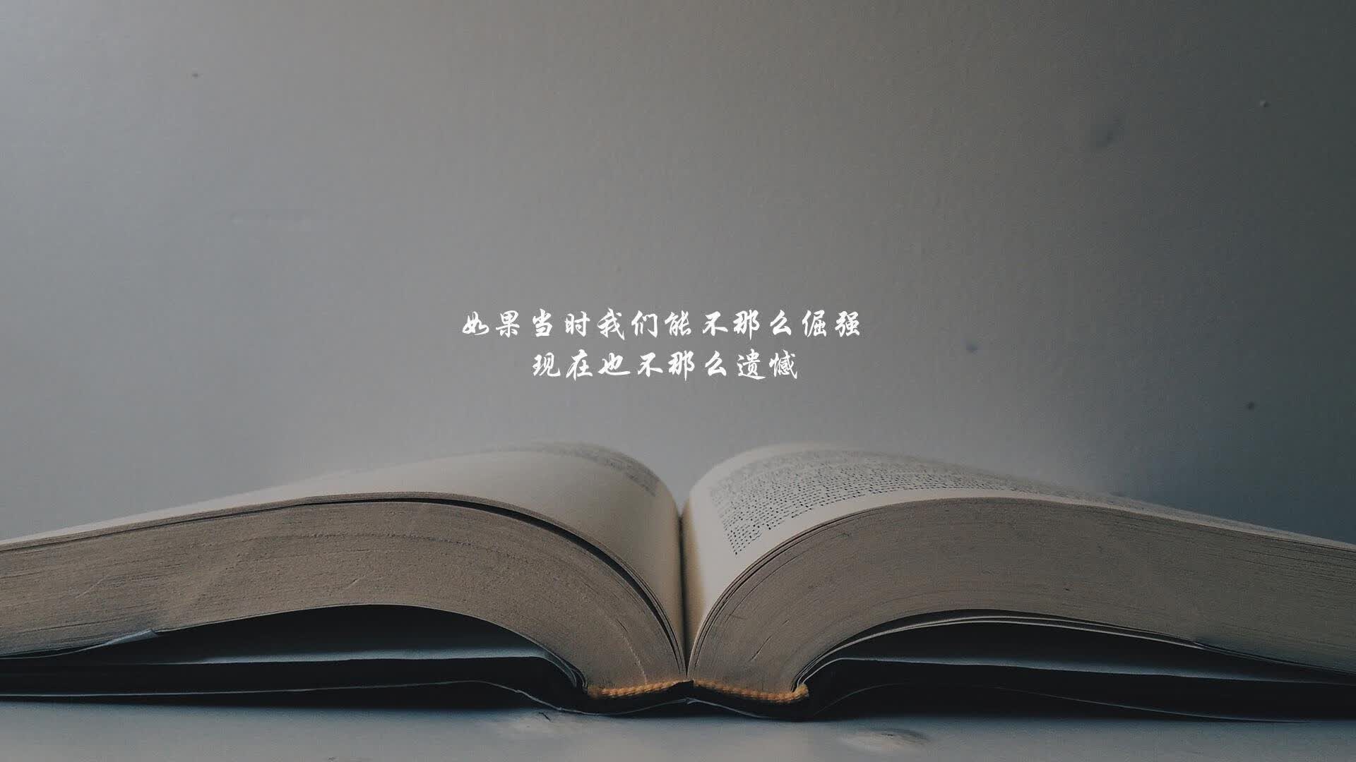 汽车材料名称有哪些图片大全（汽车的材料）